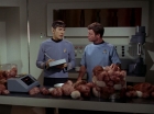Filename=ariane179254_StarTrek_2x15_TheTroubleWithTribbles_0891.jpg
Filesize=109KiB
Dimensions=1440x1080
Date added=Jan 18, 2012 ariane179254_StarTrek_2x15_TheTroubleWithTribbles_0891.jpg