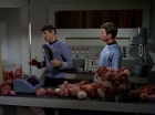 Filename=ariane179254_StarTrek_2x15_TheTroubleWithTribbles_0910.jpg
Filesize=116KiB
Dimensions=1440x1080
Date added=Jan 18, 2012 ariane179254_StarTrek_2x15_TheTroubleWithTribbles_0910.jpg