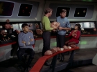 Filename=ariane179254_StarTrek_2x15_TheTroubleWithTribbles_0970.jpg
Filesize=114KiB
Dimensions=1440x1080
Date added=Jan 18, 2012 ariane179254_StarTrek_2x15_TheTroubleWithTribbles_0970.jpg
