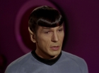 ariane179254_StarTrek_2x15_TheTroubleWithTribbles_1024.jpg
