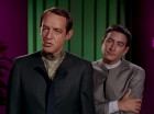 Filename=ariane179254_StarTrek_2x15_TheTroubleWithTribbles_1052.jpg
Filesize=87KiB
Dimensions=1440x1080
Date added=Jan 18, 2012 ariane179254_StarTrek_2x15_TheTroubleWithTribbles_1052.jpg