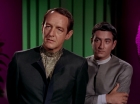 Filename=ariane179254_StarTrek_2x15_TheTroubleWithTribbles_1096.jpg
Filesize=97KiB
Dimensions=1440x1080
Date added=Jan 18, 2012 ariane179254_StarTrek_2x15_TheTroubleWithTribbles_1096.jpg