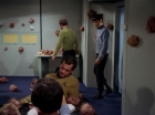 Filename=ariane179254_StarTrek_2x15_TheTroubleWithTribbles_1115.jpg
Filesize=102KiB
Dimensions=1440x1080
Date added=Jan 18, 2012 ariane179254_StarTrek_2x15_TheTroubleWithTribbles_1115.jpg