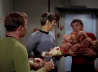 Filename=ariane179254_StarTrek_2x15_TheTroubleWithTribbles_1137.jpg
Filesize=119KiB
Dimensions=1440x1080
Date added=Jan 18, 2012 ariane179254_StarTrek_2x15_TheTroubleWithTribbles_1137.jpg
