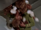 Filename=ariane179254_StarTrek_2x15_TheTroubleWithTribbles_1187.jpg
Filesize=93KiB
Dimensions=1440x1080
Date added=Jan 18, 2012 ariane179254_StarTrek_2x15_TheTroubleWithTribbles_1187.jpg