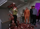 Filename=ariane179254_StarTrek_2x15_TheTroubleWithTribbles_1192.jpg
Filesize=111KiB
Dimensions=1440x1080
Date added=Jan 18, 2012 ariane179254_StarTrek_2x15_TheTroubleWithTribbles_1192.jpg