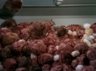 Filename=ariane179254_StarTrek_2x15_TheTroubleWithTribbles_1193.jpg
Filesize=138KiB
Dimensions=1440x1080
Date added=Jan 18, 2012 ariane179254_StarTrek_2x15_TheTroubleWithTribbles_1193.jpg