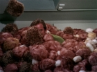 Filename=ariane179254_StarTrek_2x15_TheTroubleWithTribbles_1194.jpg
Filesize=146KiB
Dimensions=1440x1080
Date added=Jan 18, 2012 ariane179254_StarTrek_2x15_TheTroubleWithTribbles_1194.jpg