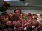 Filename=ariane179254_StarTrek_2x15_TheTroubleWithTribbles_1195.jpg
Filesize=137KiB
Dimensions=1440x1080
Date added=Jan 18, 2012 ariane179254_StarTrek_2x15_TheTroubleWithTribbles_1195.jpg