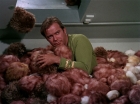 Filename=ariane179254_StarTrek_2x15_TheTroubleWithTribbles_1197.jpg
Filesize=143KiB
Dimensions=1440x1080
Date added=Jan 18, 2012 ariane179254_StarTrek_2x15_TheTroubleWithTribbles_1197.jpg