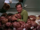 Filename=ariane179254_StarTrek_2x15_TheTroubleWithTribbles_1198.jpg
Filesize=137KiB
Dimensions=1440x1080
Date added=Jan 18, 2012 ariane179254_StarTrek_2x15_TheTroubleWithTribbles_1198.jpg