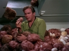 Filename=ariane179254_StarTrek_2x15_TheTroubleWithTribbles_1200.jpg
Filesize=139KiB
Dimensions=1440x1080
Date added=Jan 18, 2012 ariane179254_StarTrek_2x15_TheTroubleWithTribbles_1200.jpg
