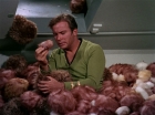 Filename=ariane179254_StarTrek_2x15_TheTroubleWithTribbles_1201.jpg
Filesize=136KiB
Dimensions=1440x1080
Date added=Jan 18, 2012 ariane179254_StarTrek_2x15_TheTroubleWithTribbles_1201.jpg