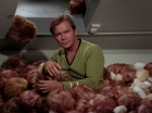 Filename=ariane179254_StarTrek_2x15_TheTroubleWithTribbles_1206.jpg
Filesize=118KiB
Dimensions=1440x1080
Date added=Jan 18, 2012 ariane179254_StarTrek_2x15_TheTroubleWithTribbles_1206.jpg