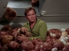 Filename=ariane179254_StarTrek_2x15_TheTroubleWithTribbles_1207.jpg
Filesize=118KiB
Dimensions=1440x1080
Date added=Jan 18, 2012 ariane179254_StarTrek_2x15_TheTroubleWithTribbles_1207.jpg