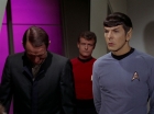 Filename=ariane179254_StarTrek_2x15_TheTroubleWithTribbles_1208.jpg
Filesize=79KiB
Dimensions=1440x1080
Date added=Jan 18, 2012 ariane179254_StarTrek_2x15_TheTroubleWithTribbles_1208.jpg