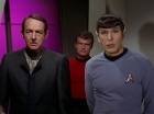 Filename=ariane179254_StarTrek_2x15_TheTroubleWithTribbles_1211.jpg
Filesize=84KiB
Dimensions=1440x1080
Date added=Jan 18, 2012 ariane179254_StarTrek_2x15_TheTroubleWithTribbles_1211.jpg