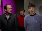 Filename=ariane179254_StarTrek_2x15_TheTroubleWithTribbles_1214.jpg
Filesize=92KiB
Dimensions=1440x1080
Date added=Jan 18, 2012 ariane179254_StarTrek_2x15_TheTroubleWithTribbles_1214.jpg
