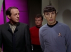 Filename=ariane179254_StarTrek_2x15_TheTroubleWithTribbles_1219.jpg
Filesize=88KiB
Dimensions=1440x1080
Date added=Jan 18, 2012 ariane179254_StarTrek_2x15_TheTroubleWithTribbles_1219.jpg