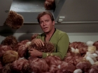 Filename=ariane179254_StarTrek_2x15_TheTroubleWithTribbles_1220.jpg
Filesize=119KiB
Dimensions=1440x1080
Date added=Jan 18, 2012 ariane179254_StarTrek_2x15_TheTroubleWithTribbles_1220.jpg