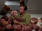 Filename=ariane179254_StarTrek_2x15_TheTroubleWithTribbles_1223.jpg
Filesize=129KiB
Dimensions=1440x1080
Date added=Jan 18, 2012 ariane179254_StarTrek_2x15_TheTroubleWithTribbles_1223.jpg