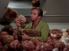 Filename=ariane179254_StarTrek_2x15_TheTroubleWithTribbles_1224.jpg
Filesize=119KiB
Dimensions=1440x1080
Date added=Jan 18, 2012 ariane179254_StarTrek_2x15_TheTroubleWithTribbles_1224.jpg