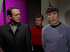 Filename=ariane179254_StarTrek_2x15_TheTroubleWithTribbles_1225.jpg
Filesize=85KiB
Dimensions=1440x1080
Date added=Jan 18, 2012 ariane179254_StarTrek_2x15_TheTroubleWithTribbles_1225.jpg