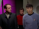 Filename=ariane179254_StarTrek_2x15_TheTroubleWithTribbles_1227.jpg
Filesize=94KiB
Dimensions=1440x1080
Date added=Jan 18, 2012 ariane179254_StarTrek_2x15_TheTroubleWithTribbles_1227.jpg