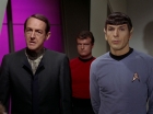 Filename=ariane179254_StarTrek_2x15_TheTroubleWithTribbles_1228.jpg
Filesize=85KiB
Dimensions=1440x1080
Date added=Jan 18, 2012 ariane179254_StarTrek_2x15_TheTroubleWithTribbles_1228.jpg