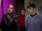 Filename=ariane179254_StarTrek_2x15_TheTroubleWithTribbles_1229.jpg
Filesize=91KiB
Dimensions=1440x1080
Date added=Jan 18, 2012 ariane179254_StarTrek_2x15_TheTroubleWithTribbles_1229.jpg