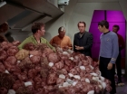 Filename=ariane179254_StarTrek_2x15_TheTroubleWithTribbles_1233.jpg
Filesize=144KiB
Dimensions=1440x1080
Date added=Jan 18, 2012 ariane179254_StarTrek_2x15_TheTroubleWithTribbles_1233.jpg