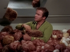Filename=ariane179254_StarTrek_2x15_TheTroubleWithTribbles_1237.jpg
Filesize=131KiB
Dimensions=1440x1080
Date added=Jan 18, 2012 ariane179254_StarTrek_2x15_TheTroubleWithTribbles_1237.jpg