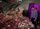 Filename=ariane179254_StarTrek_2x15_TheTroubleWithTribbles_1243.jpg
Filesize=146KiB
Dimensions=1440x1080
Date added=Jan 18, 2012 ariane179254_StarTrek_2x15_TheTroubleWithTribbles_1243.jpg