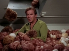 Filename=ariane179254_StarTrek_2x15_TheTroubleWithTribbles_1250.jpg
Filesize=131KiB
Dimensions=1440x1080
Date added=Jan 18, 2012 ariane179254_StarTrek_2x15_TheTroubleWithTribbles_1250.jpg