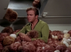 Filename=ariane179254_StarTrek_2x15_TheTroubleWithTribbles_1251.jpg
Filesize=116KiB
Dimensions=1440x1080
Date added=Jan 18, 2012 ariane179254_StarTrek_2x15_TheTroubleWithTribbles_1251.jpg