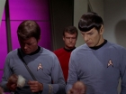 Filename=ariane179254_StarTrek_2x15_TheTroubleWithTribbles_1255.jpg
Filesize=93KiB
Dimensions=1440x1080
Date added=Jan 18, 2012 ariane179254_StarTrek_2x15_TheTroubleWithTribbles_1255.jpg