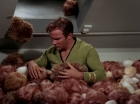 Filename=ariane179254_StarTrek_2x15_TheTroubleWithTribbles_1257.jpg
Filesize=120KiB
Dimensions=1440x1080
Date added=Jan 18, 2012 ariane179254_StarTrek_2x15_TheTroubleWithTribbles_1257.jpg