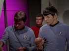 Filename=ariane179254_StarTrek_2x15_TheTroubleWithTribbles_1258.jpg
Filesize=94KiB
Dimensions=1440x1080
Date added=Jan 18, 2012 ariane179254_StarTrek_2x15_TheTroubleWithTribbles_1258.jpg
