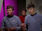 Filename=ariane179254_StarTrek_2x15_TheTroubleWithTribbles_1263.jpg
Filesize=104KiB
Dimensions=1440x1080
Date added=Jan 18, 2012 ariane179254_StarTrek_2x15_TheTroubleWithTribbles_1263.jpg
