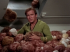 Filename=ariane179254_StarTrek_2x15_TheTroubleWithTribbles_1265.jpg
Filesize=118KiB
Dimensions=1440x1080
Date added=Jan 18, 2012 ariane179254_StarTrek_2x15_TheTroubleWithTribbles_1265.jpg