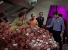 Filename=ariane179254_StarTrek_2x15_TheTroubleWithTribbles_1271.jpg
Filesize=145KiB
Dimensions=1440x1080
Date added=Jan 18, 2012 ariane179254_StarTrek_2x15_TheTroubleWithTribbles_1271.jpg