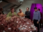 Filename=ariane179254_StarTrek_2x15_TheTroubleWithTribbles_1274.jpg
Filesize=141KiB
Dimensions=1440x1080
Date added=Jan 18, 2012 ariane179254_StarTrek_2x15_TheTroubleWithTribbles_1274.jpg