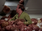 Filename=ariane179254_StarTrek_2x15_TheTroubleWithTribbles_1281.jpg
Filesize=119KiB
Dimensions=1440x1080
Date added=Jan 18, 2012 ariane179254_StarTrek_2x15_TheTroubleWithTribbles_1281.jpg