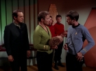 Filename=ariane179254_StarTrek_2x15_TheTroubleWithTribbles_1392.jpg
Filesize=103KiB
Dimensions=1440x1080
Date added=Jan 18, 2012 ariane179254_StarTrek_2x15_TheTroubleWithTribbles_1392.jpg