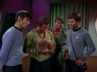 Filename=ariane179254_StarTrek_2x15_TheTroubleWithTribbles_1427.jpg
Filesize=117KiB
Dimensions=1440x1080
Date added=Jan 18, 2012 ariane179254_StarTrek_2x15_TheTroubleWithTribbles_1427.jpg