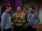 Filename=ariane179254_StarTrek_2x15_TheTroubleWithTribbles_1429.jpg
Filesize=123KiB
Dimensions=1440x1080
Date added=Jan 18, 2012 ariane179254_StarTrek_2x15_TheTroubleWithTribbles_1429.jpg