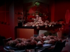 Filename=ariane179254_StarTrek_2x15_TheTroubleWithTribbles_1430.jpg
Filesize=103KiB
Dimensions=1440x1080
Date added=Jan 18, 2012 ariane179254_StarTrek_2x15_TheTroubleWithTribbles_1430.jpg