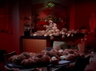 Filename=ariane179254_StarTrek_2x15_TheTroubleWithTribbles_1433.jpg
Filesize=103KiB
Dimensions=1440x1080
Date added=Jan 18, 2012 ariane179254_StarTrek_2x15_TheTroubleWithTribbles_1433.jpg