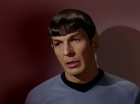 Filename=ariane179254_StarTrek_2x15_TheTroubleWithTribbles_1465.jpg
Filesize=76KiB
Dimensions=1440x1080
Date added=Jan 18, 2012 ariane179254_StarTrek_2x15_TheTroubleWithTribbles_1465.jpg