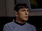 ariane179254_StarTrek_2x15_TheTroubleWithTribbles_1504.jpg